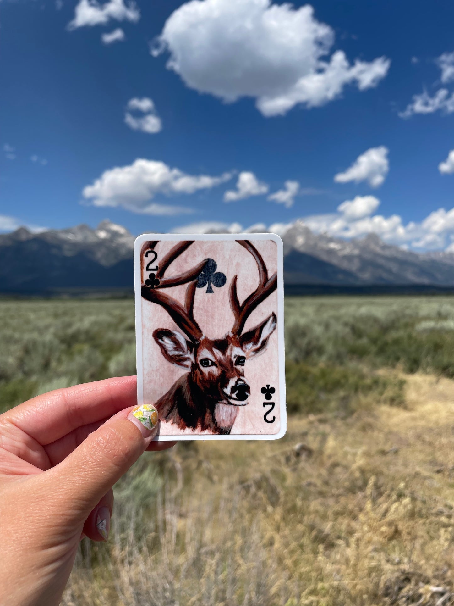 Whitetail Deer Sticker