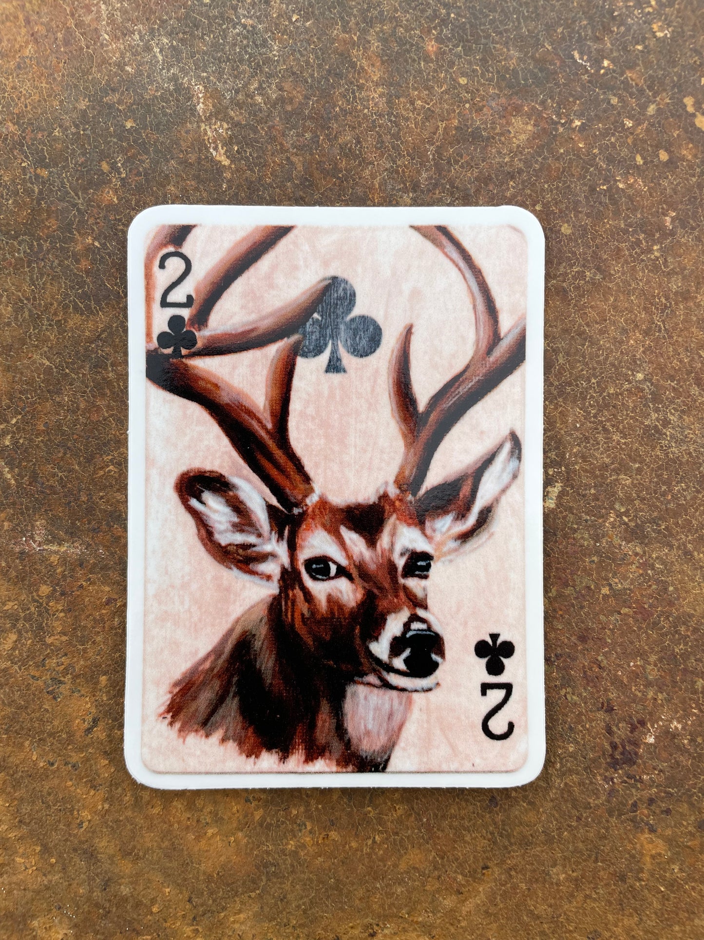 Whitetail Deer Sticker