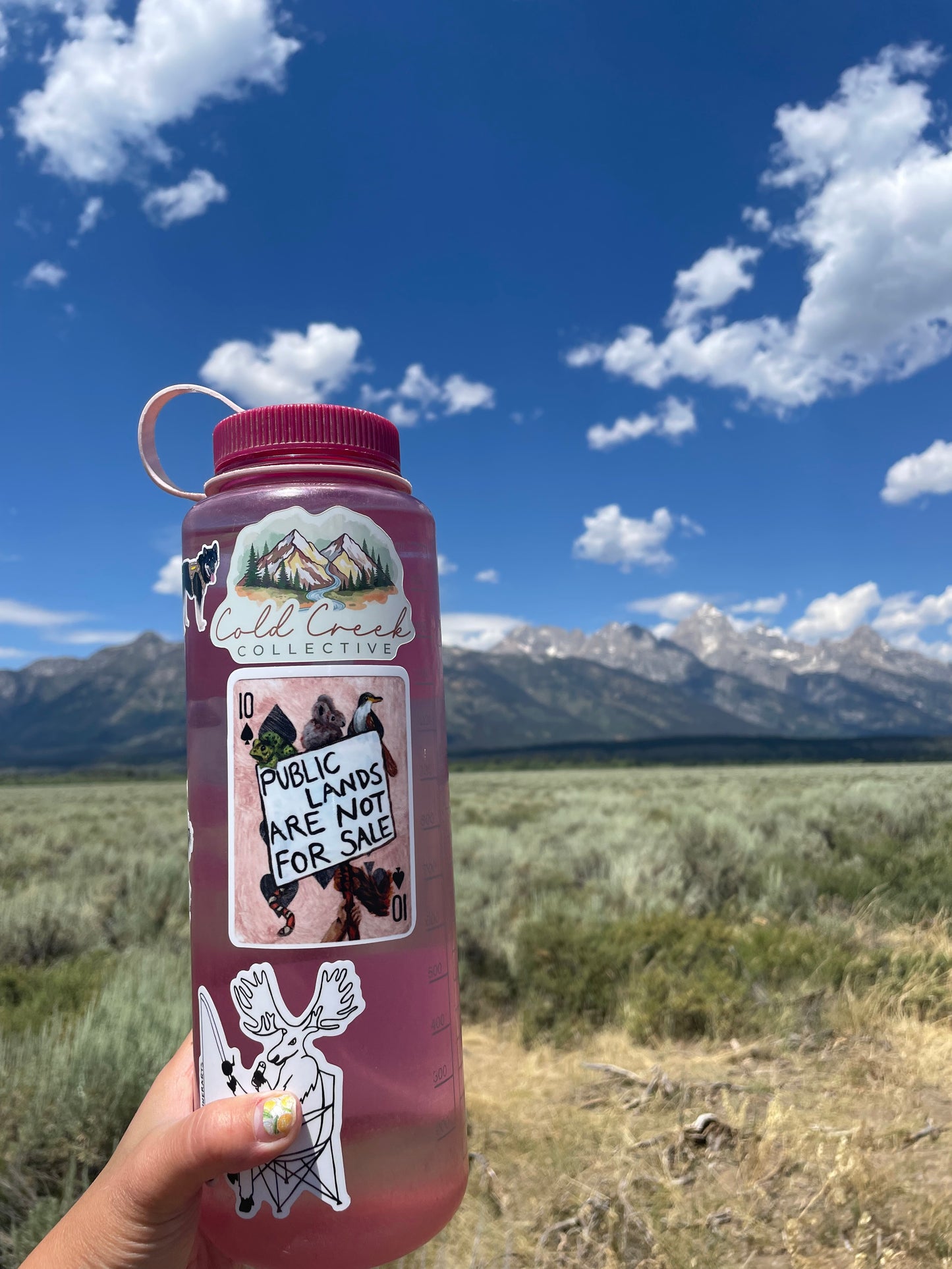 Public Lands Sticker